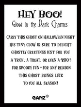 Load image into Gallery viewer, Glow in the Dark Ghost Pocket