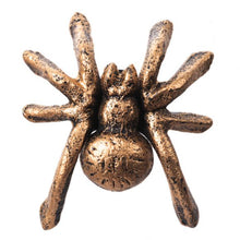 Load image into Gallery viewer, Cast Iron Small Spider
