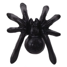 Load image into Gallery viewer, Cast Iron Small Spider

