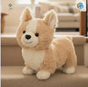 Webkinz Corgi