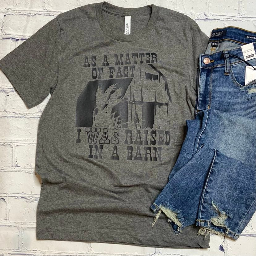 As a Matter of Fact I WAS Raised in a Barn T-Shirt