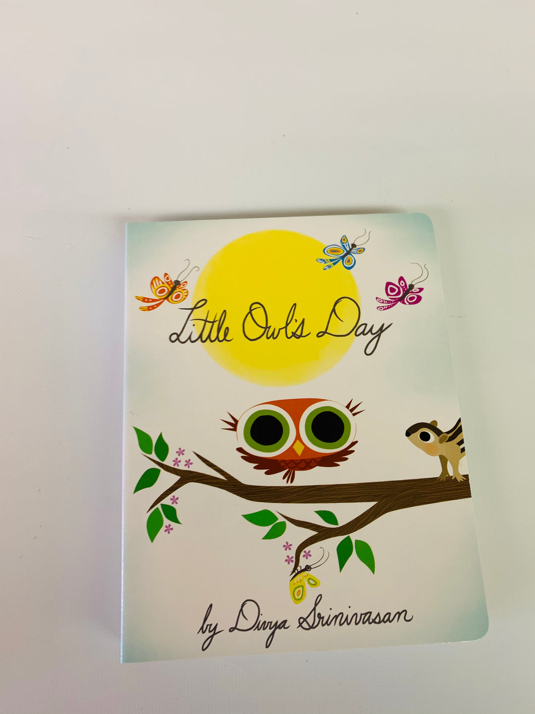 Little Owl's Day Book