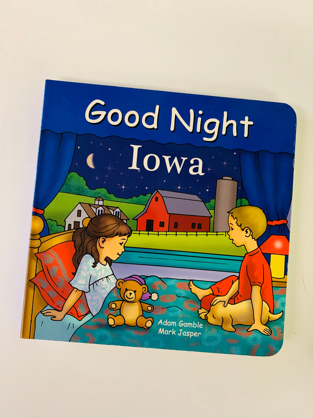 Good Night Iowa Book